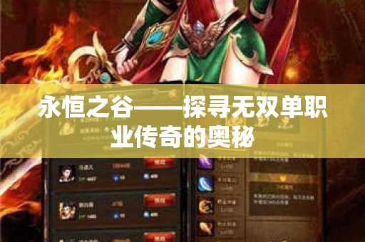 永恒之谷——探寻无双单职业传奇的奥秘