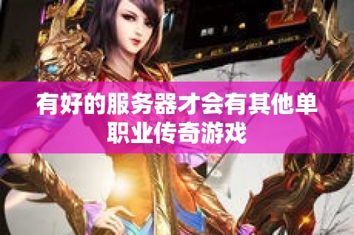 有好的服务器才会有其他单职业传奇游戏