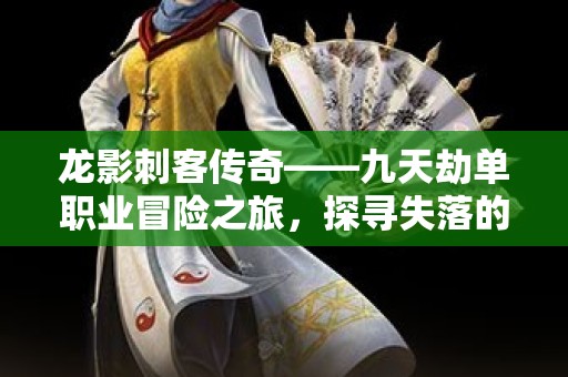 龙影刺客传奇——九天劫单职业冒险之旅，探寻失落的神器宝藏