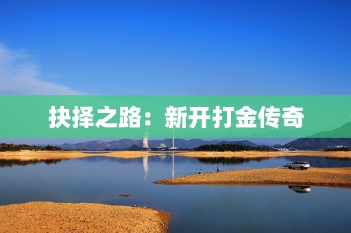 抉择之路：新开打金传奇