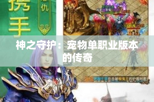 神之守护：宠物单职业版本的传奇