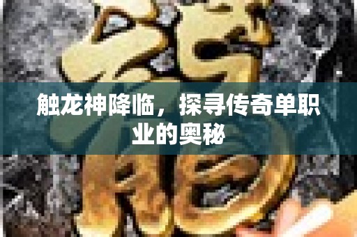 触龙神降临，探寻传奇单职业的奥秘