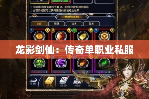 龙影剑仙：传奇单职业私服