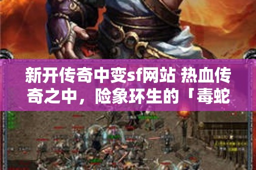 新开传奇中变sf网站 热血传奇之中，险象环生的「毒蛇山谷」探险之旅